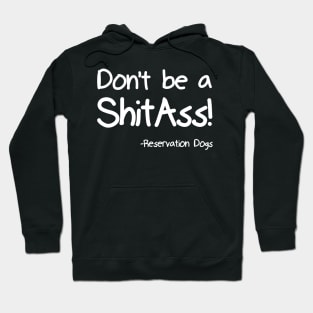 Don't be a ShitAss! Hoodie